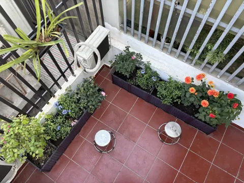 Kiến tạo khu vườn mơ ước của bạn