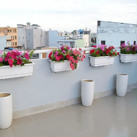 Combo 5 Chậu Nhựa Thông Minh Dài 48cm tự tưới, màu trắng hoặc đen