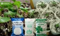 Đá Trân Châu Perlite - Giữ ẩm và cung cấp khoáng chất tự nhiên - Ảnh 3