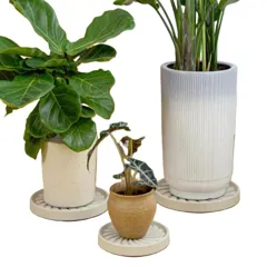 Đế Đặt Chậu Cây Có Bánh Xe | Thiết Kế Tinh Tế – Chịu Tải Tốt