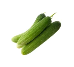 Hạt giống dưa chuột nếp thơm – Trái giòn ngọt, thơm mát, dễ trồng tại nhà