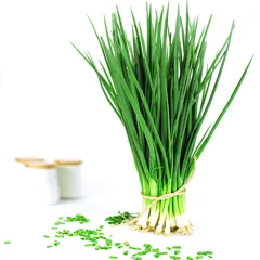 Hạt giống hành hương – Mùi thơm đặc trưng, dễ trồng, thu bền