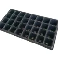 Khay Ươm Hạt Giống Nhựa PET Giá Rẻ – Kích Thước Đa Dạng | Navy Garden - Ảnh 4