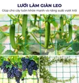 Lưới làm giàn leo bền, dễ lắp – Kích thước 180x90, 180x180, 360x180 cm - Ảnh 5