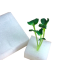 Mút xốp ươm hạt giống – Bọt xốp ươm mầm thủy canh, sạch, tiện dùng - Ảnh 1