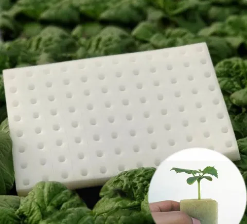 1 vỉ xốp 96 viên