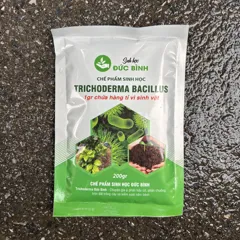 Nấm đối kháng Trichoderma mật độ cao, khỏe gốc rễ