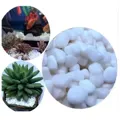 Sỏi Trắng Trang Trí Sân Vườn - Kích Cỡ Đa Dạng (4-6 mm, 1-2 cm, 2-3 cm) - Ảnh 5