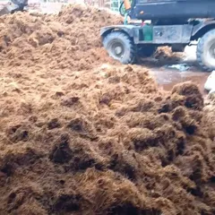 Xơ dừa giá xưởng số lượng lớn – cung cấp trực tiếp từ Navy Garden