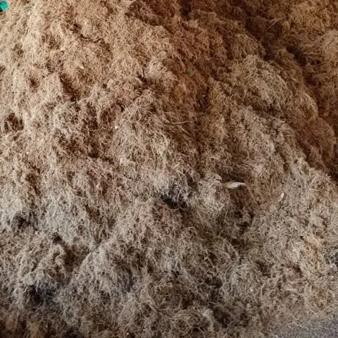 cho cây công trình