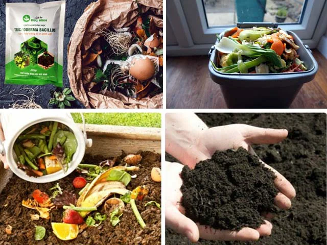 Cách ủ phân bón dùng Trichoderma, Rỉ Đường, chế phẩm EM