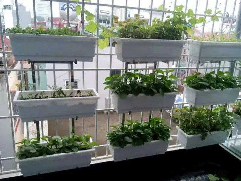 Các tiêu chí lựa chọn kệ trồng cây ban công chung cư