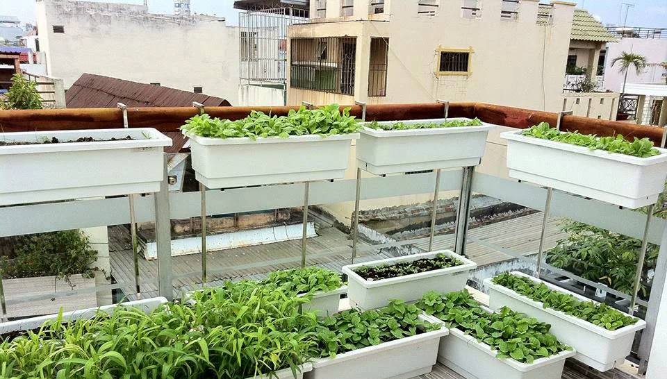 Kệ trồng cây ban công chịu nắng mưa tốt, ít hư hỏng