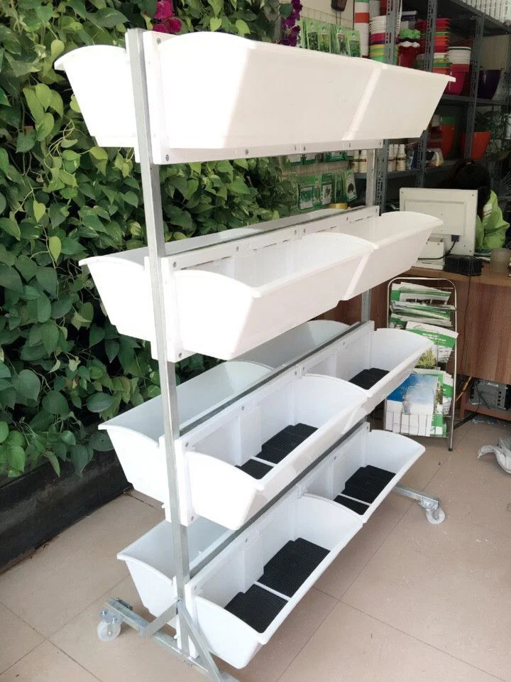 Khay trồng rau nhỏ gọn cho nhà phố, chung cư tiện lợi